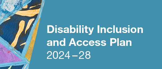 Disability Inclusion and Access Pan 2024-28 - Artwork by Monica Lazzari and Arts Project Australia