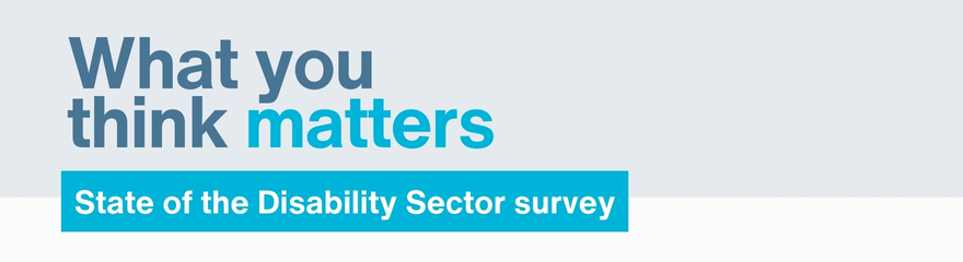 What you think matters - State of the Disability Sector survey