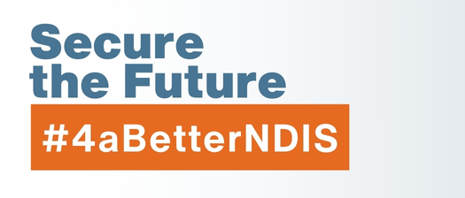 Secure the Future for a better NDIS